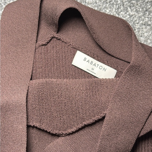 Babaton brown Ribbed Dress - Picture 3 of 3